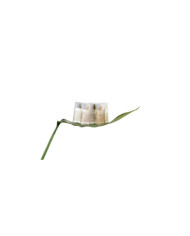 Hotelowa odżywka luksusowa do włosów 38ml OSME z certyfikatem ECOCERT