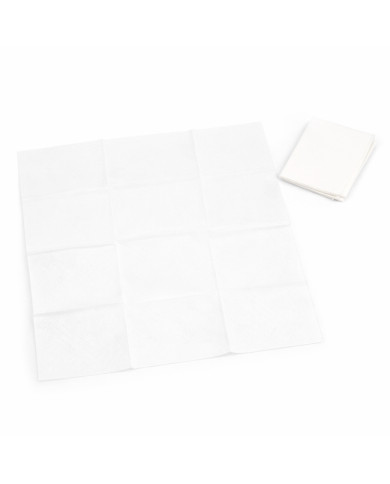 Chusteczki higieniczne gastronomiczne w przezroczystej folii 3 sztuki