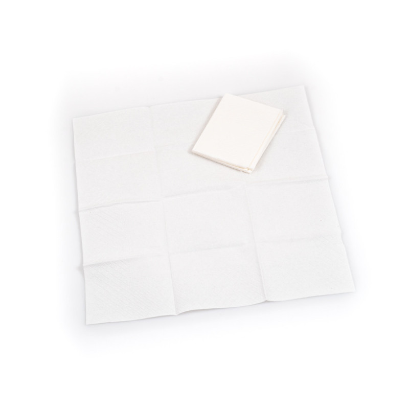 Chusteczki higieniczne gastronomiczne w przezroczystej folii 3 sztuki