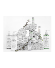 Balsam hotelowy do ciała 31ml ALOESIR z dodatkiem Aloe Vera